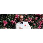 23-03-2017 - MCS Marketing - Jay Alexander - banner.jpg